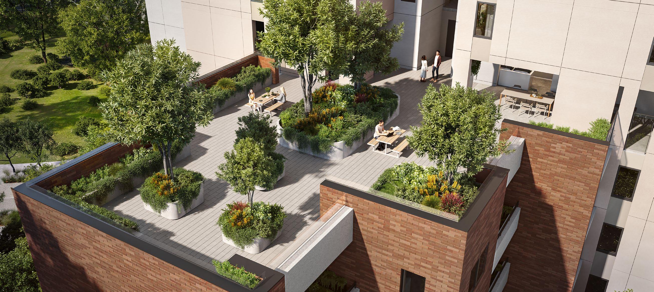 Rooftop Garden Oasis